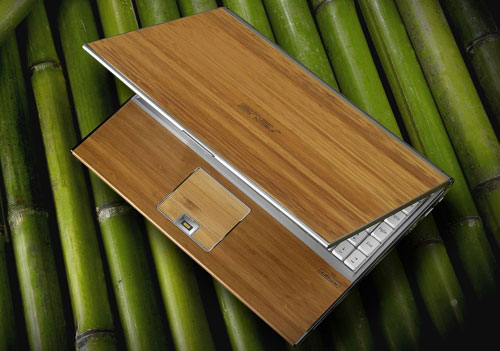 Asus U6V Bamboo notebook