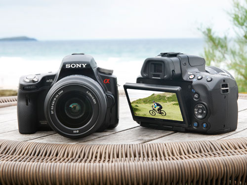 Sony A55 and A33