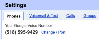 google-voice-port