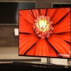 LG 55-inch OLED TV Panel