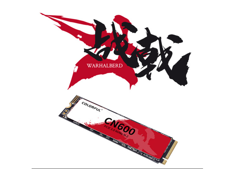 Colorful CN600 SSD