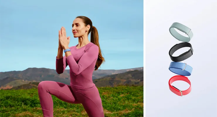 Google Fitbit Air